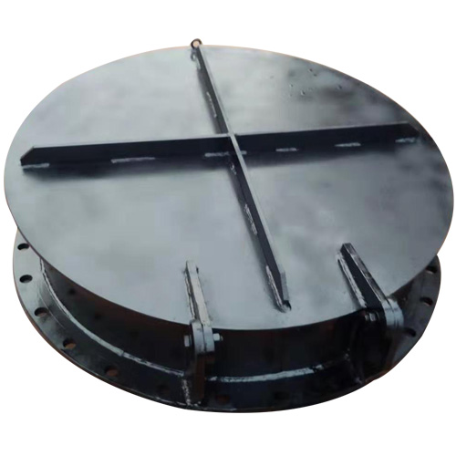 1681546114117292.jpg 鋼制拍門(mén).jpg